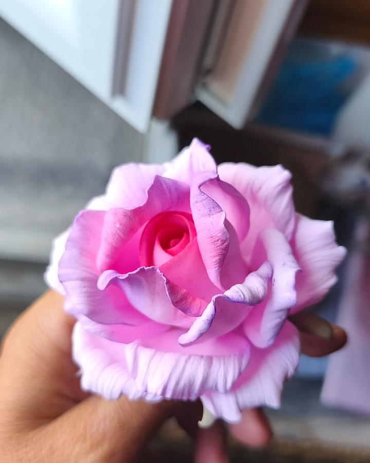 Rosa in Fommy soft
