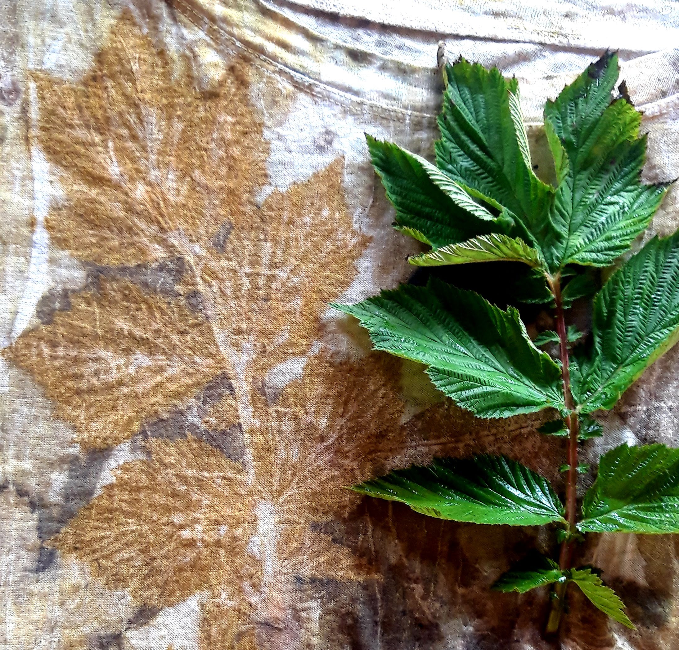 Ecoprint Workshop