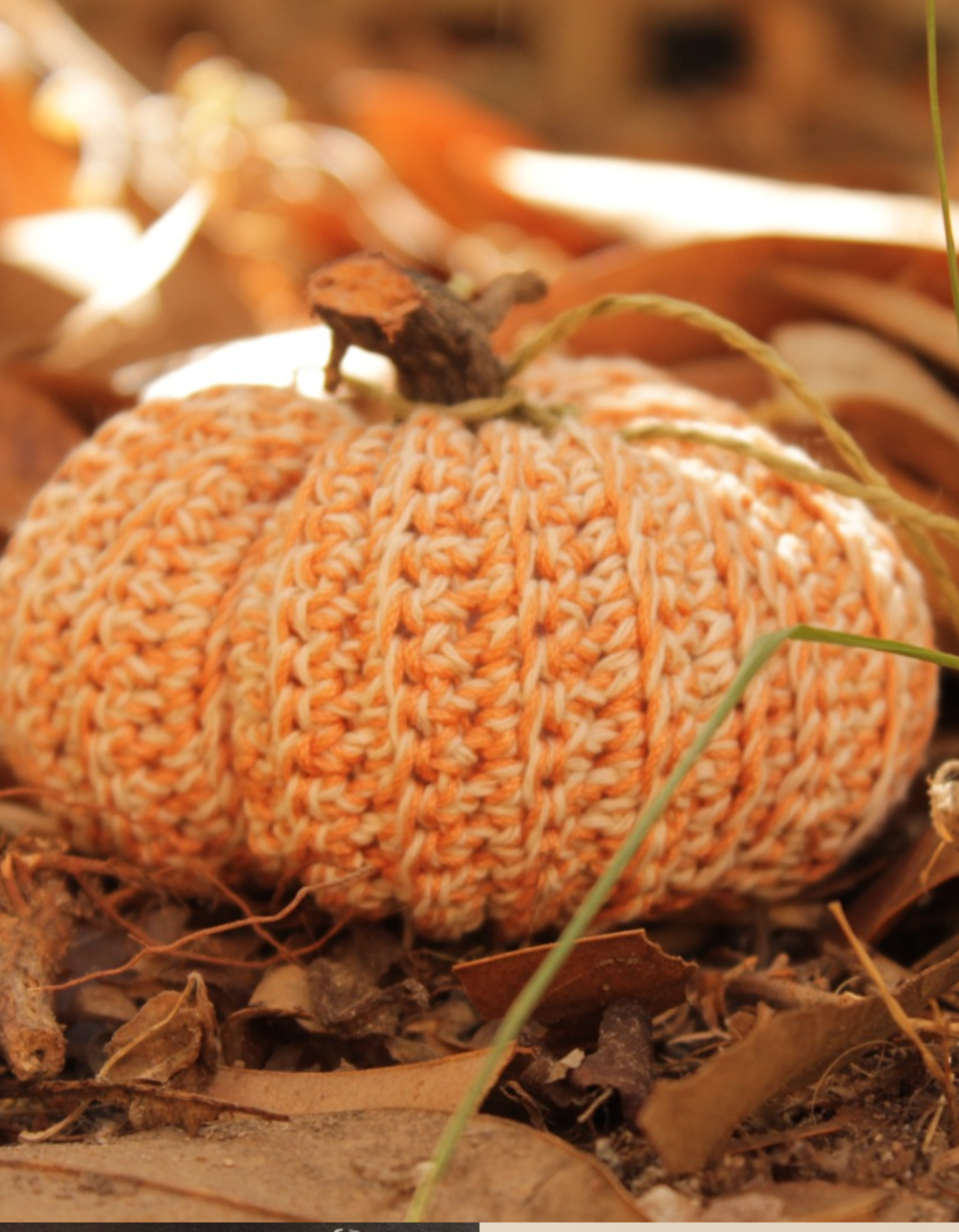 Zucca all'uncinetto