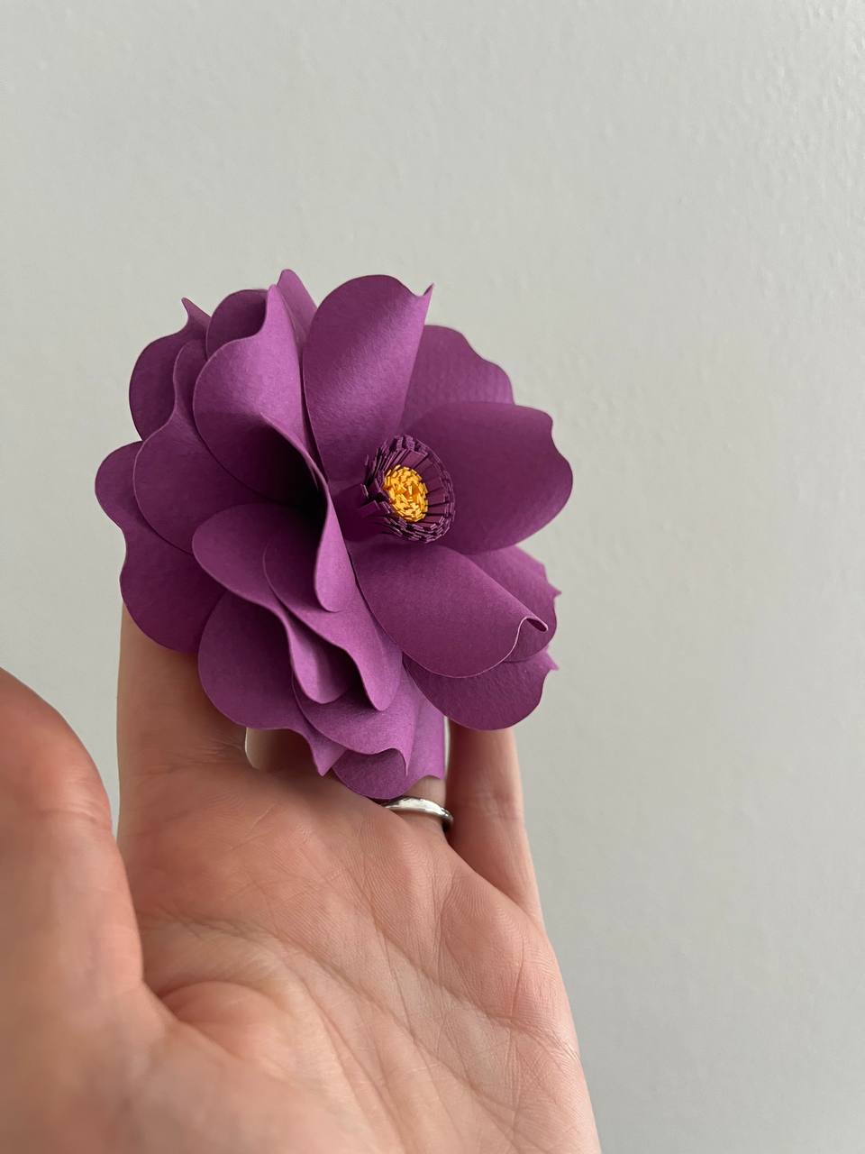 Stessa forma, doppio fiore