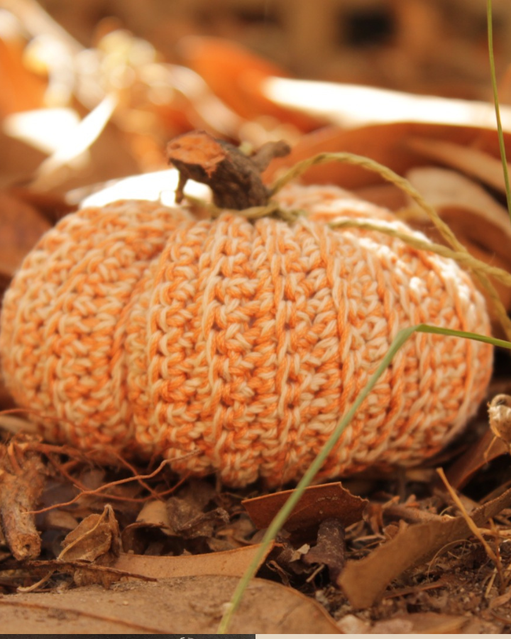 Zucca all'uncinetto