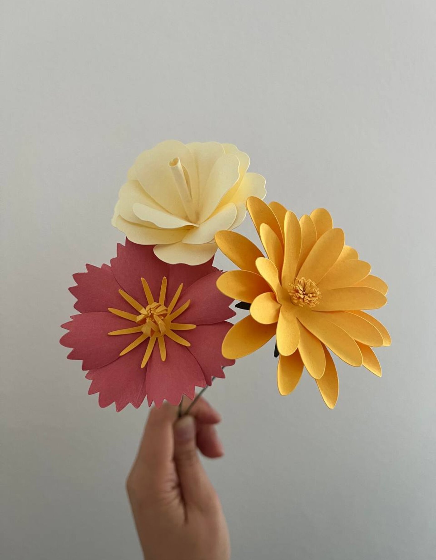 Immergiti nei fiori di carta