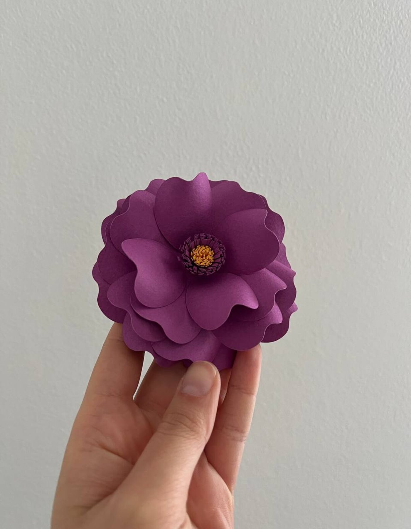 Stessa forma, doppio fiore di carta