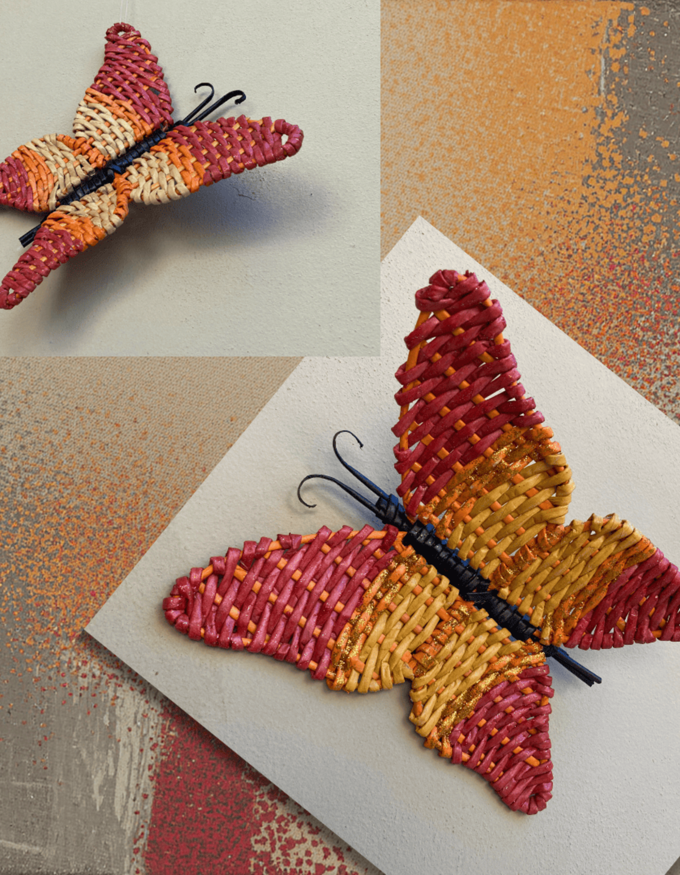 Farfalla coloratissima