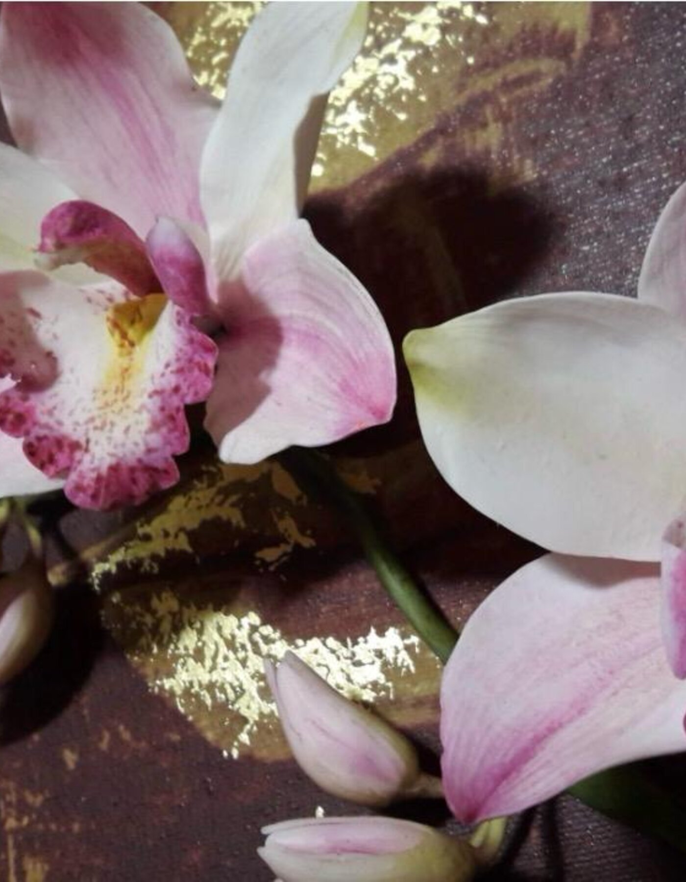 The Cimbidyum Orchid