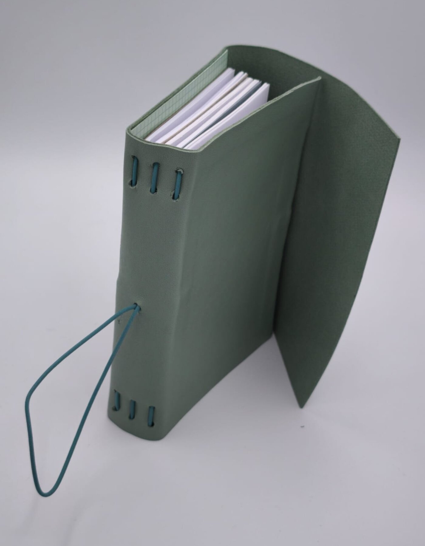 Midori Louis Carmen Style Course