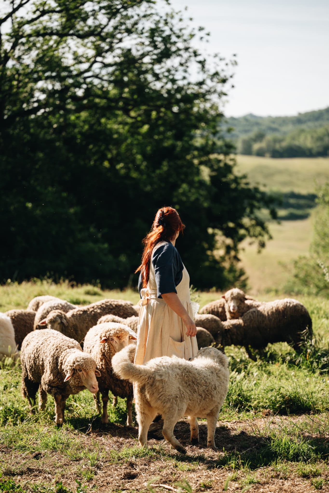 Dalla Pecora al Maglione