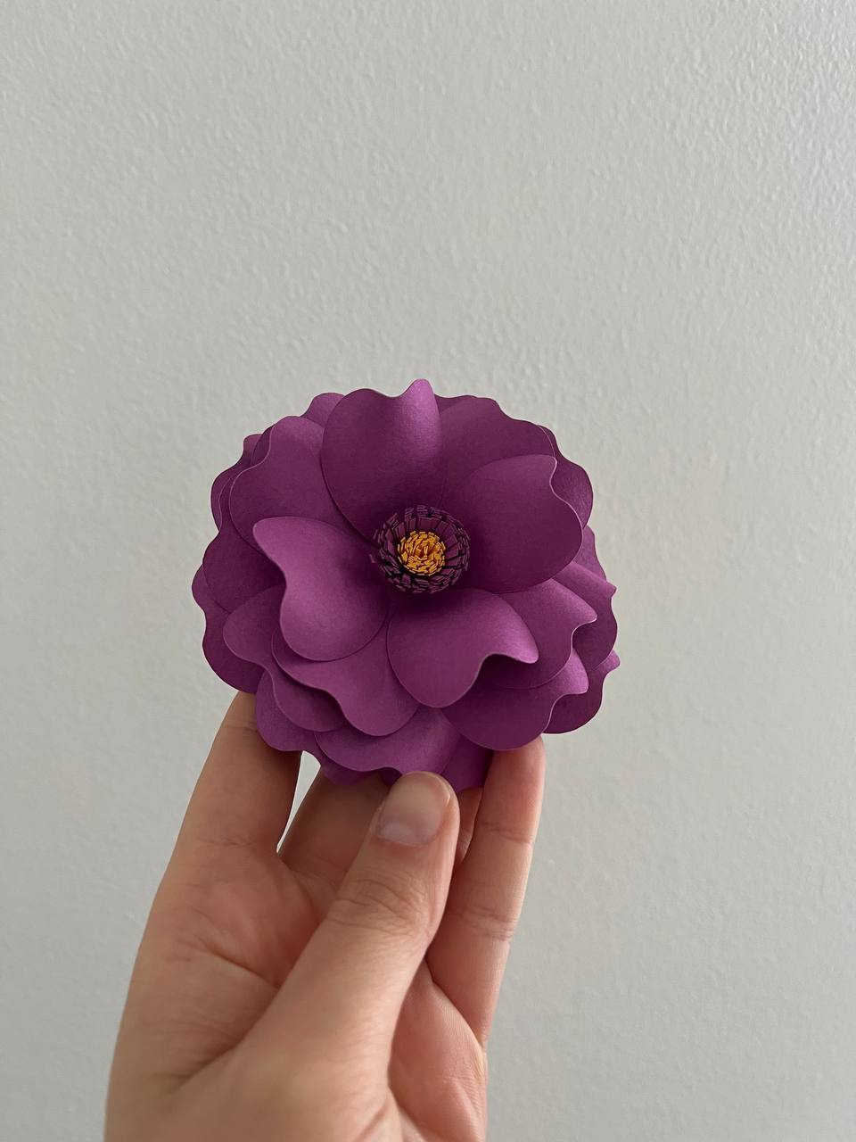 Stessa forma, doppio fiore di carta