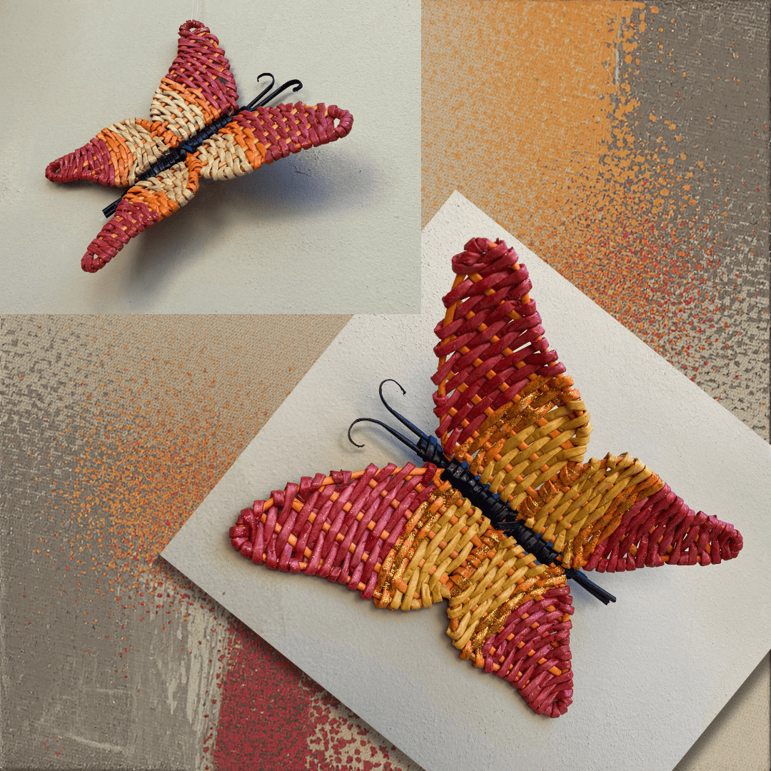 Farfalla coloratissima