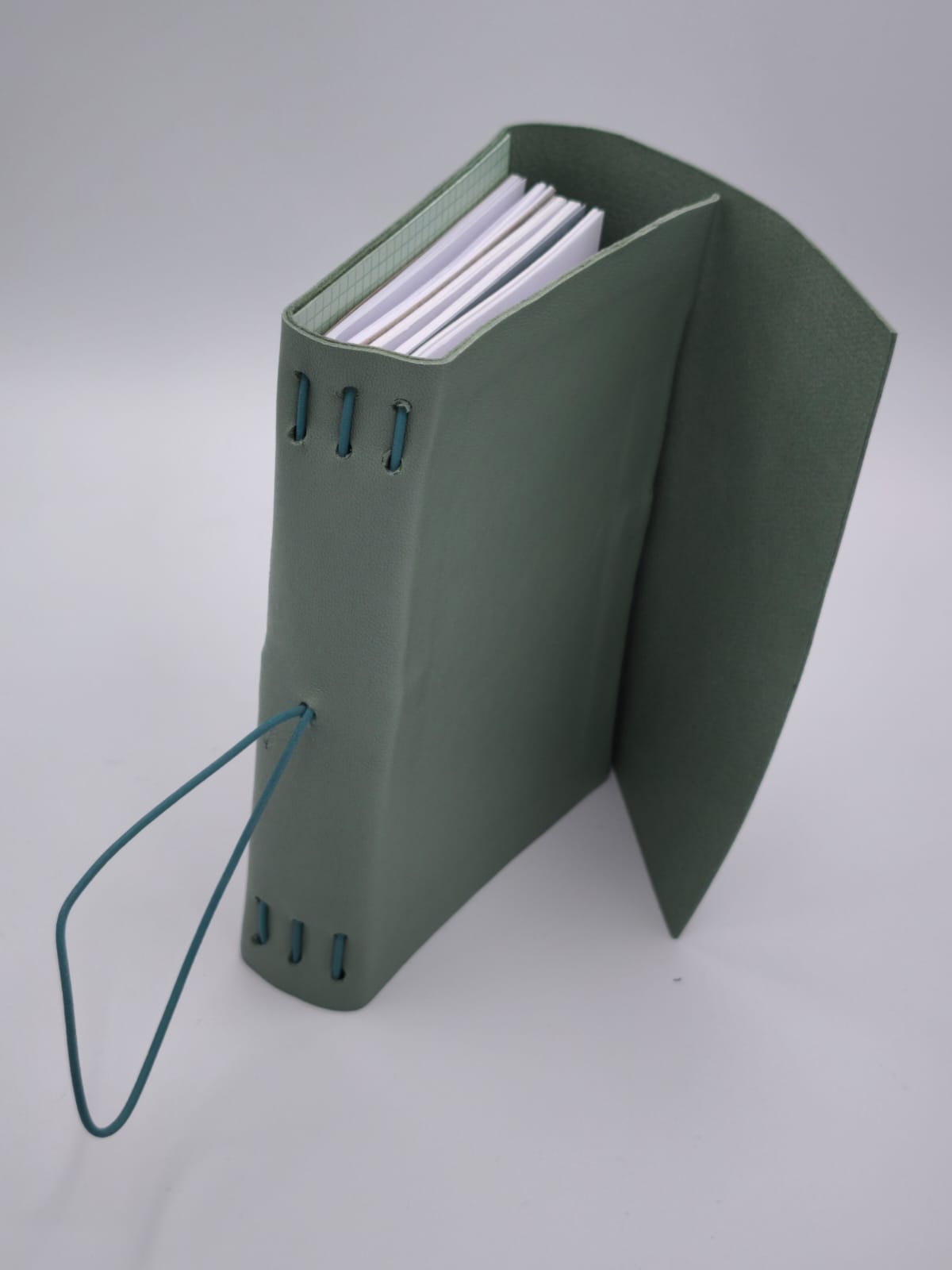 Midori Louis Carmen Style Course