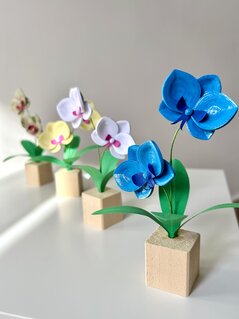 Fiori eterni e sostenibili in filigrana di carta