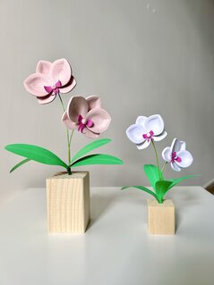 Fiori eterni e sostenibili in filigrana di carta