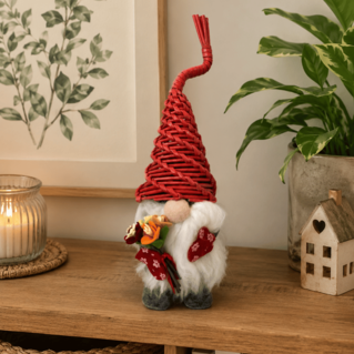 Gigetto lo gnometto