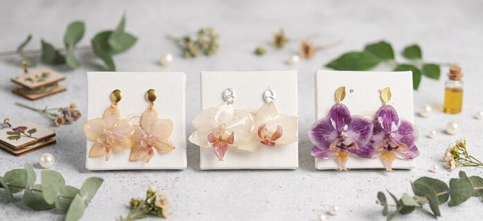 Phalaenopsis orchids